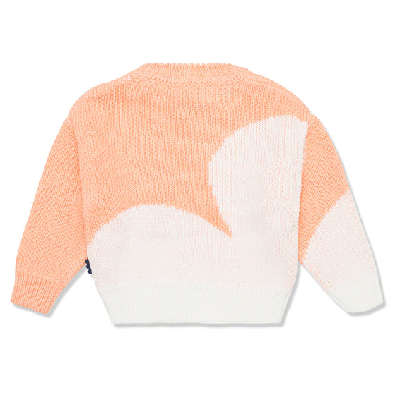 Terracoral Cloud Sweater