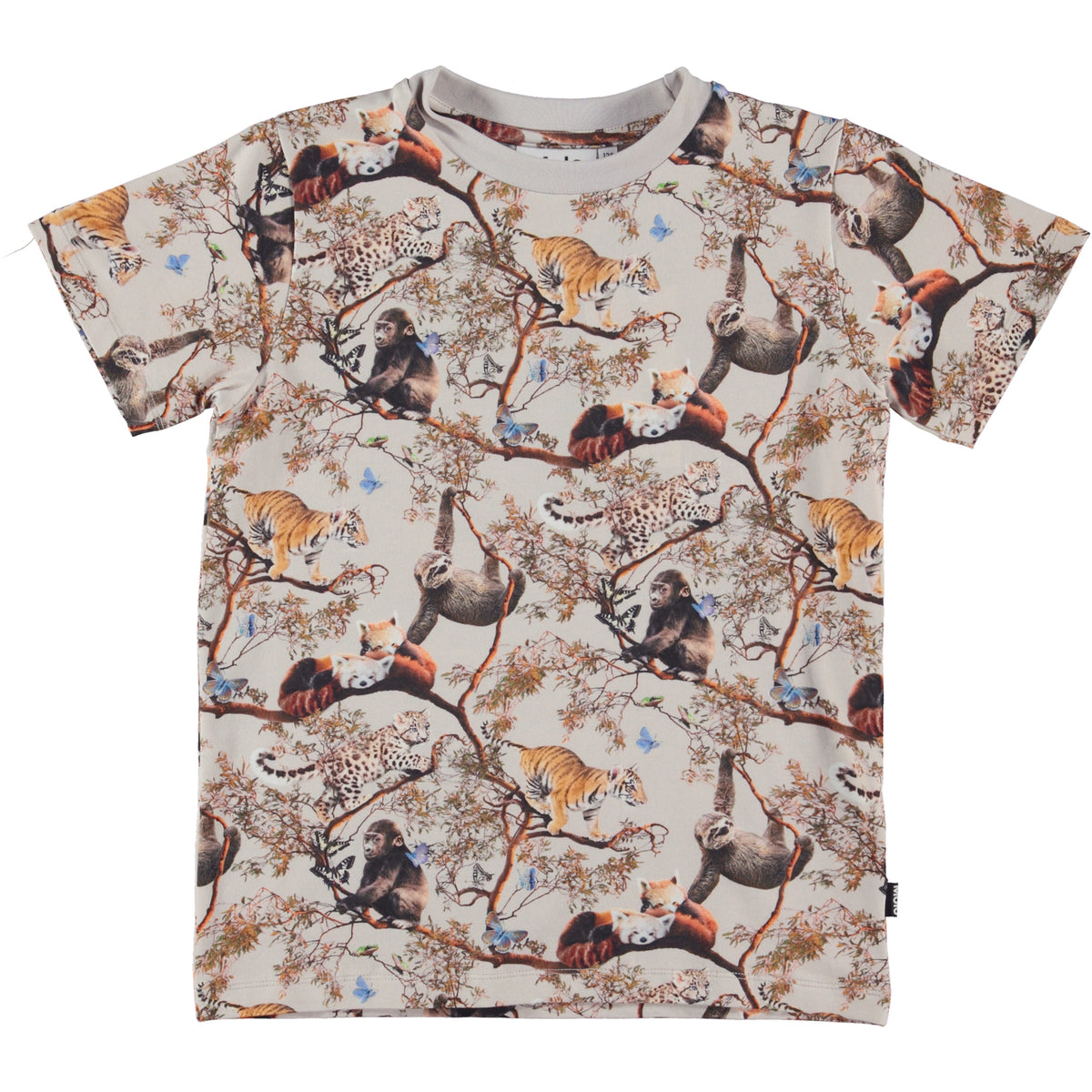 Kid-Boy-Ralphie Cubs Harmony T-shirt-6S23A221-6797-|-Molo