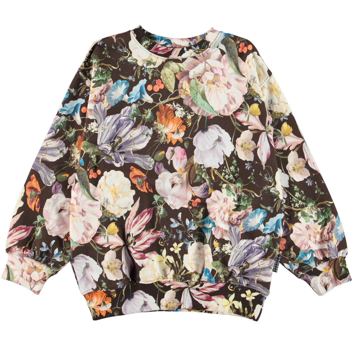 Botanical Paris Sweatshirt-6W22J202-6611-|-Molo York | – Soft A.T.L.R. Kid-Girl-Monti New