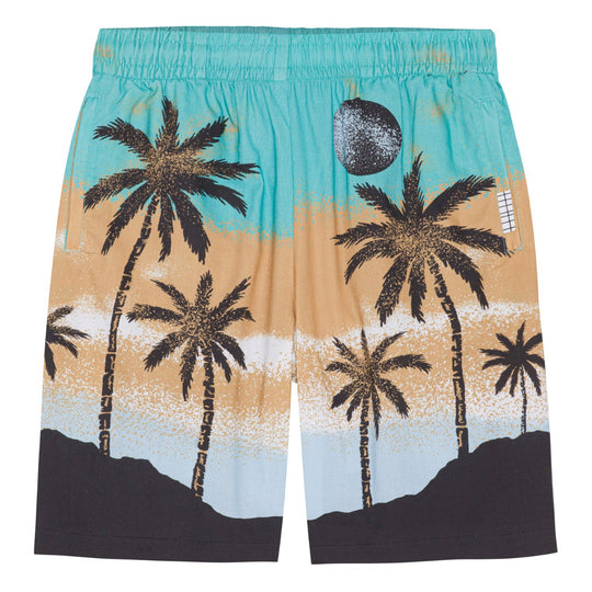 MOLO Adi Holiday Island Shorts
