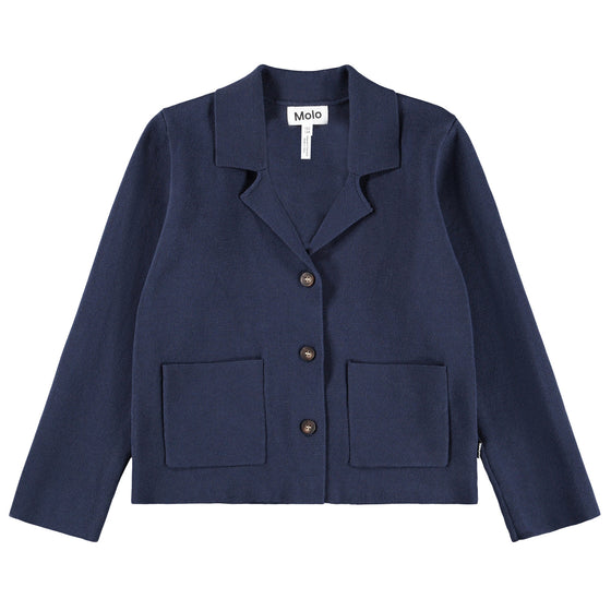 MOLO Gabriela Galaxy Blue Blazer Sweater
