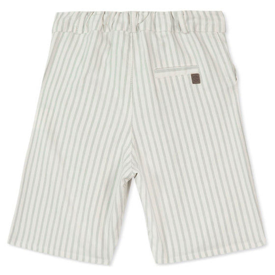 Sea Green Striped Shorts