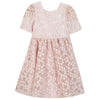 Pale Rose Applique Party Dress