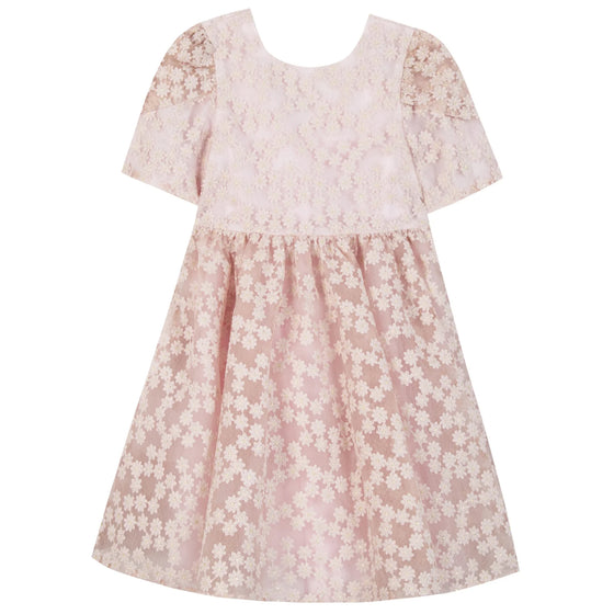 Pale Rose Applique Party Dress