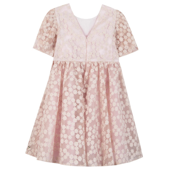 Pale Rose Applique Party Dress