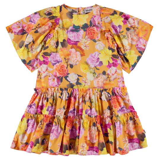 MOLO Cat Clementine Roses Dress