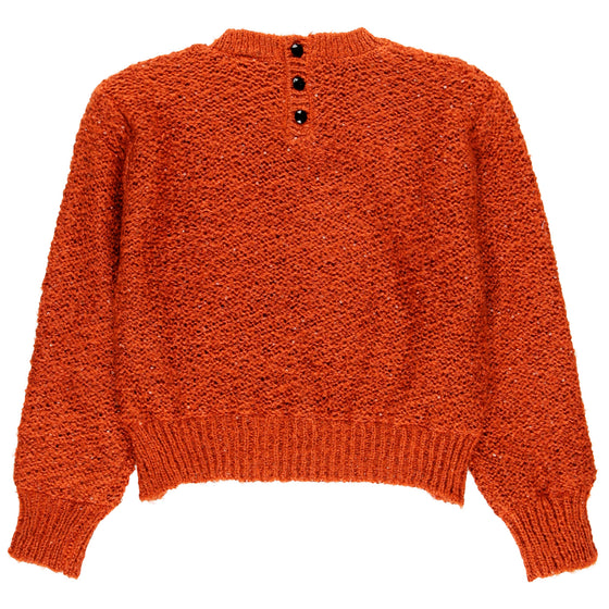 Pumpkin Spice Star Sweater  - FINAL SALE