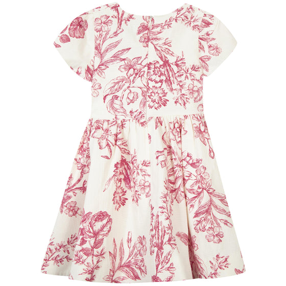 Summer Toile Party Dress